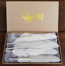 Load image into Gallery viewer, WHOLESALE 10 x Medium Bone Flight Feather - FeatherTribe