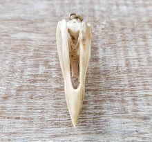 Load image into Gallery viewer, Raven Skull Replica Necklace - FeatherTribe