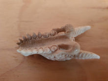 Load image into Gallery viewer, WHOLESALE 10 x Dragon Skull Pendants - FeatherTribe