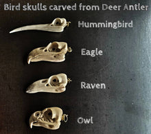 Load image into Gallery viewer, Raven Skull Replica Necklace - FeatherTribe