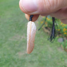 Load image into Gallery viewer, Super Mini Pink Pearl Flight Feather Necklace - FeatherTribe