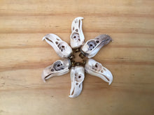 Load image into Gallery viewer, WHOLESALE LOT 10 PCS Bald Eagle Skull Replica Pendant - 50% discount Hand Carved Naturally Shed Antler with Brass Bale - Bird skull necklace - FeatherTribe