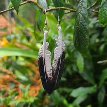 Load image into Gallery viewer, Wedge Tail Eagle Feather Earrings - FeatherTribe