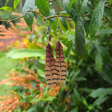 Load image into Gallery viewer, Kookaburra Feather Earrings - FeatherTribe