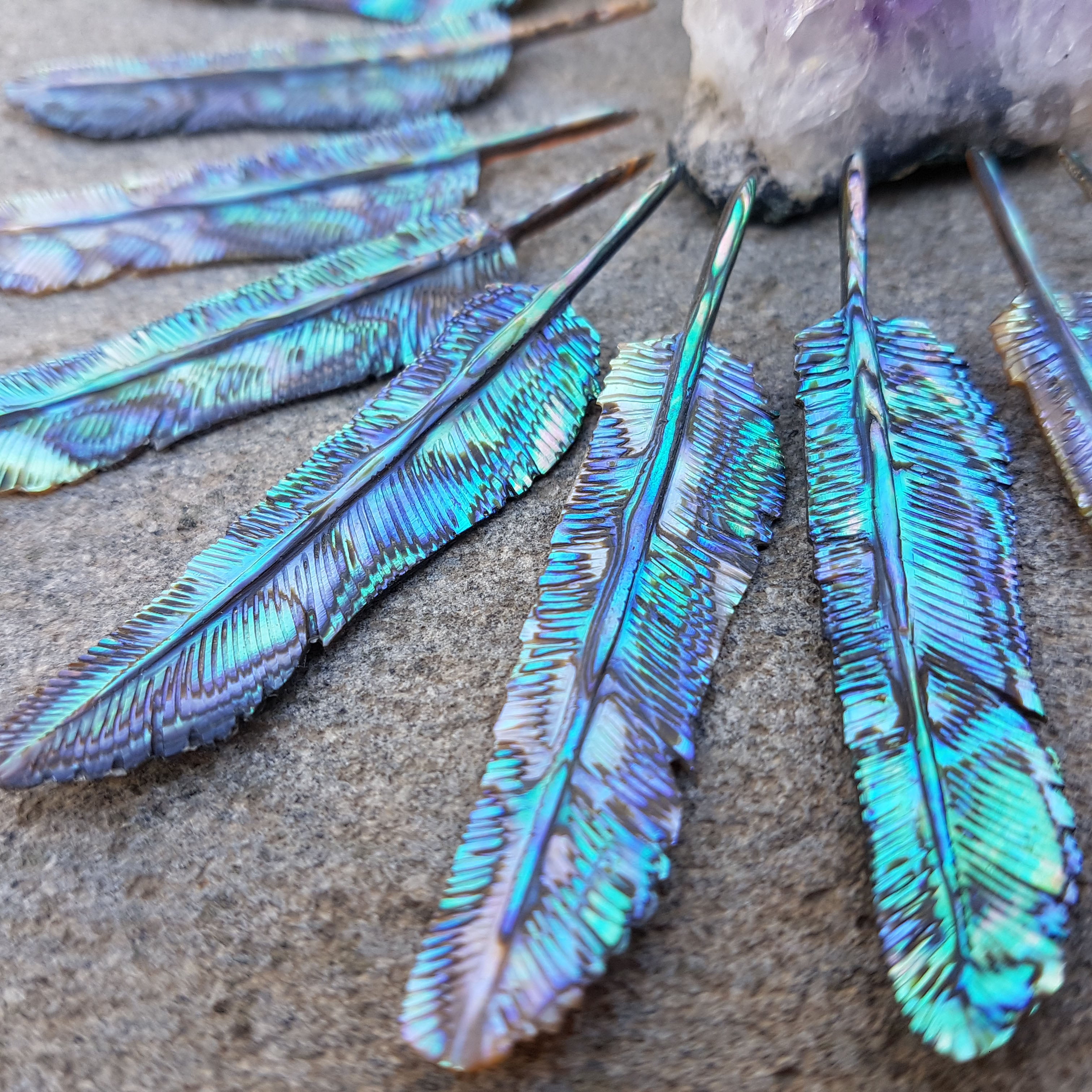 Feather Shell Shell Feathers – FeatherTribe