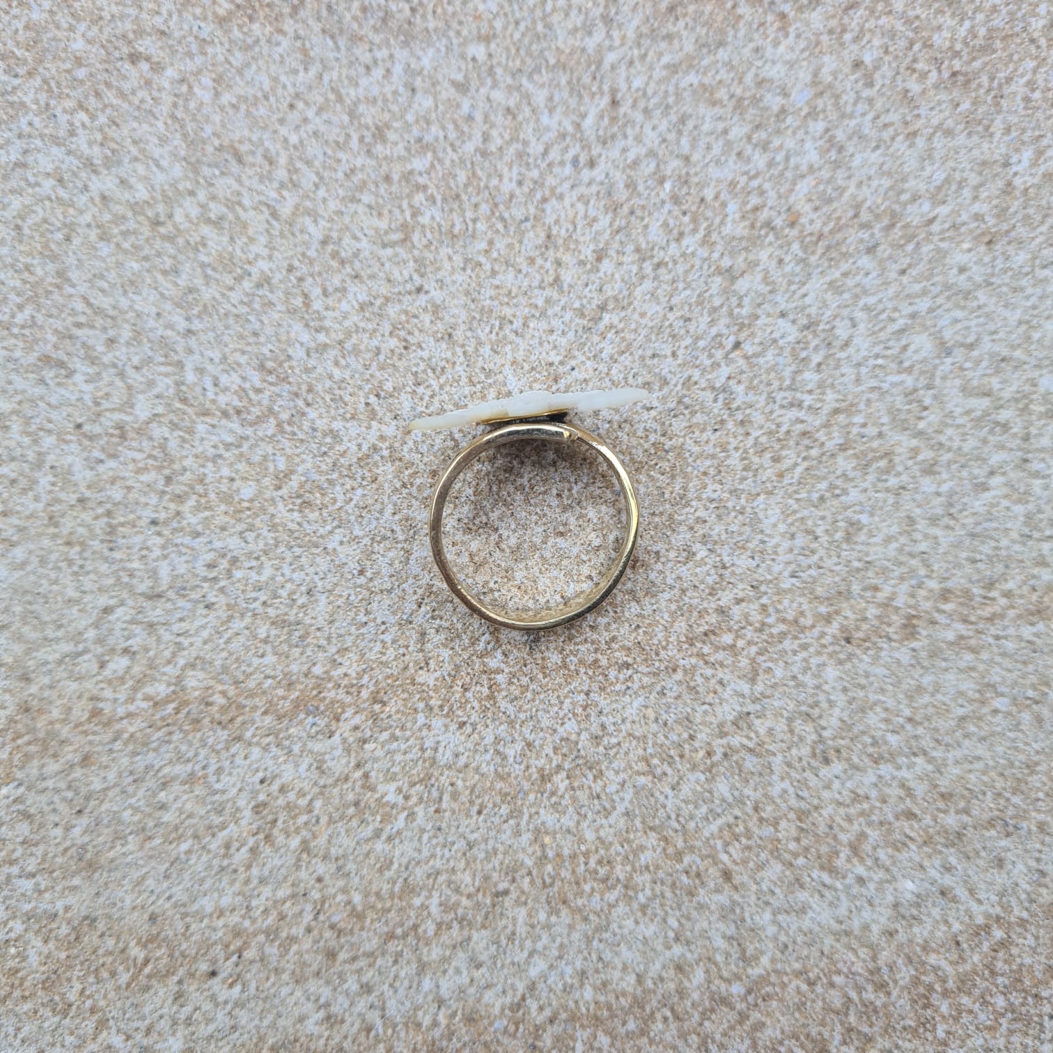 Mini Shell Isis Ring - FeatherTribe