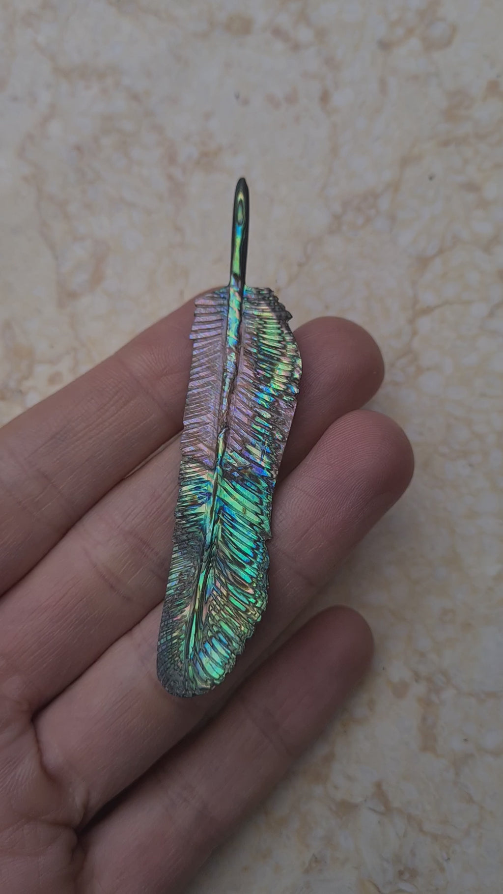 SECOND: Small Abalone Flight Feather