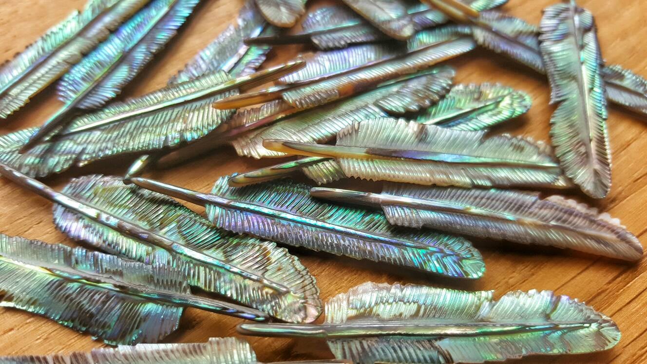 WHOLESALE 20 x Super Mini Abalone Flight Feather - FeatherTribe