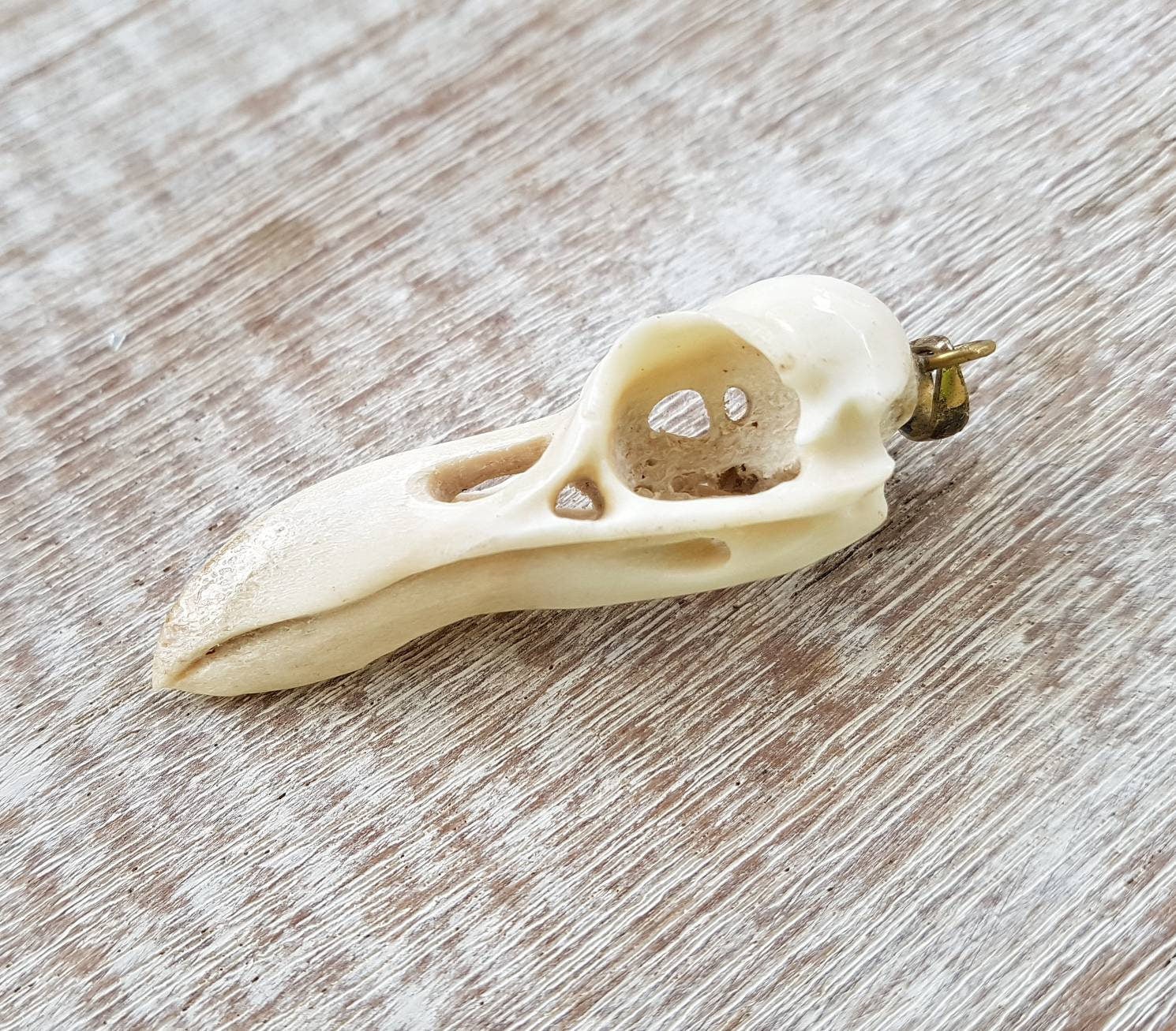 Raven Skull Replica Necklace - FeatherTribe