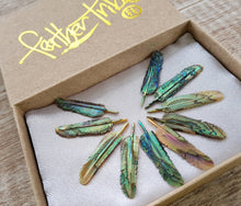 Load image into Gallery viewer, WHOLESALE 10 x Ultra Mini Flight Feather - FeatherTribe

