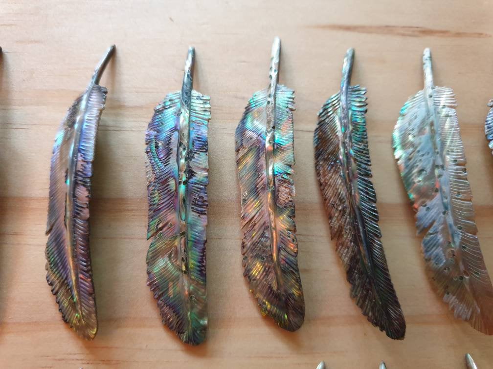 WHOLESALE 20 x Small Abalone Flight Feather - FeatherTribe