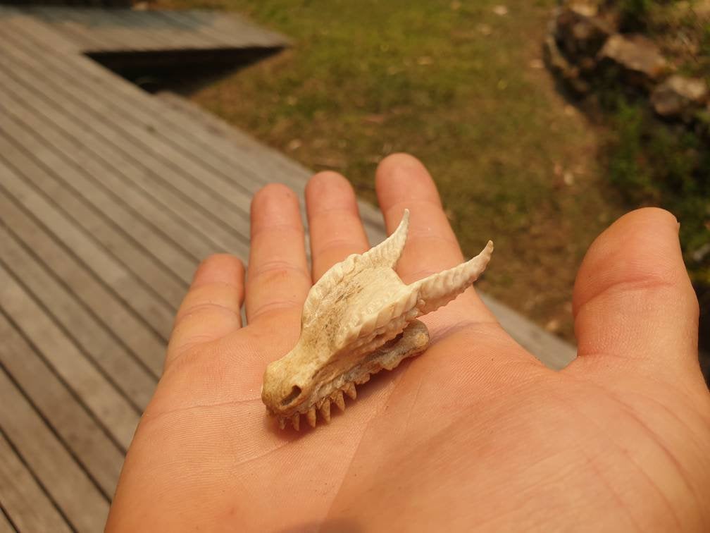 WHOLESALE 10 x Dragon Skull Pendants - FeatherTribe