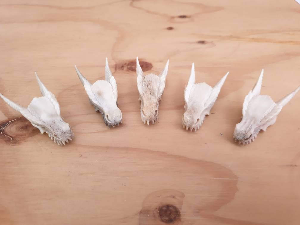 WHOLESALE 10 x Dragon Skull Pendants - FeatherTribe