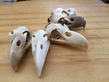 Load image into Gallery viewer, WHOLESALE LOT 10 PCS Bald Eagle Skull Replica Pendant - 50% discount Hand Carved Naturally Shed Antler with Brass Bale - Bird skull necklace - FeatherTribe
