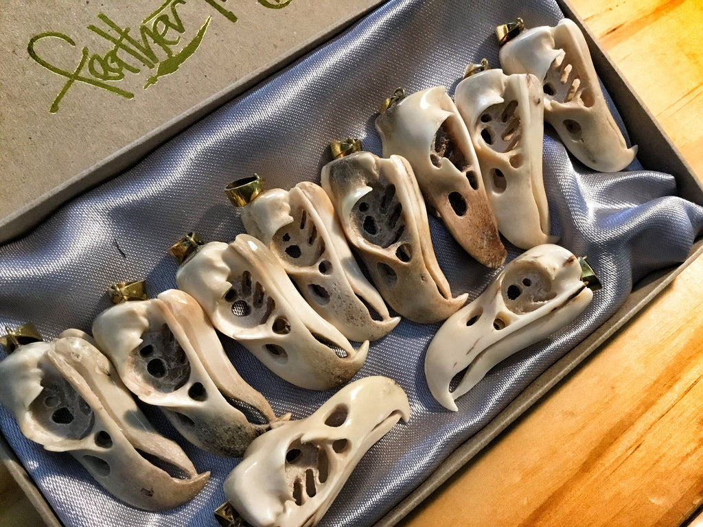 WHOLESALE LOT 10 PCS Bald Eagle Skull Replica Pendant - 50% discount Hand Carved Naturally Shed Antler with Brass Bale - Bird skull necklace - FeatherTribe