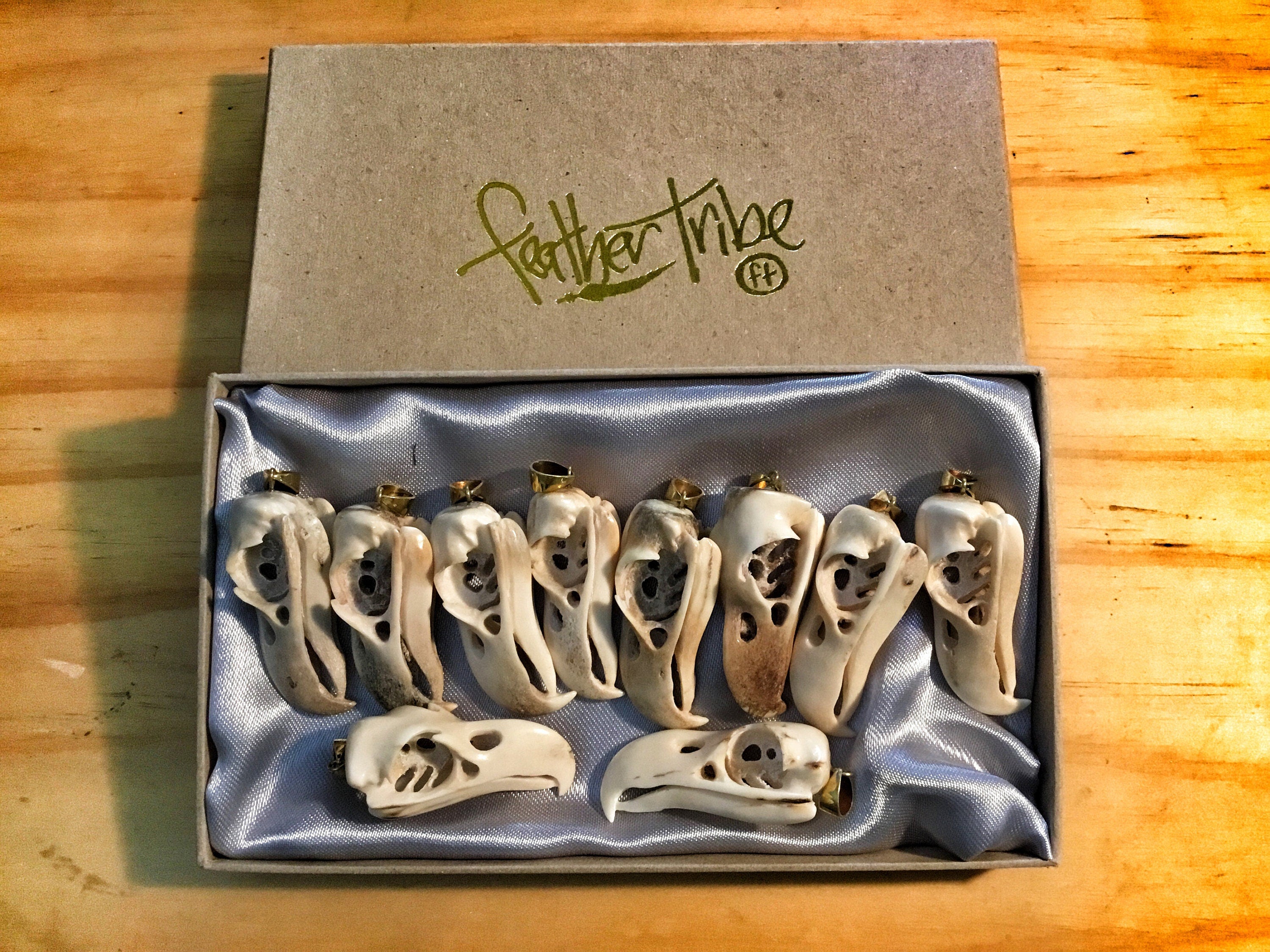 WHOLESALE LOT 10 PCS Bald Eagle Skull Replica Pendant - 50% discount Hand Carved Naturally Shed Antler with Brass Bale - Bird skull necklace - FeatherTribe