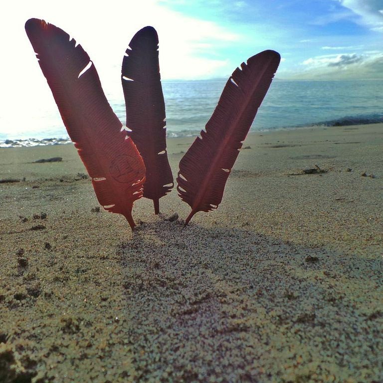 WHOLESALE 10 x Medium Rosewood Flight Feather Pendant - FeatherTribe