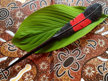 Load image into Gallery viewer, Male Red-Tailed Black Cockatoo Feather Hair Stick - FeatherTribe
